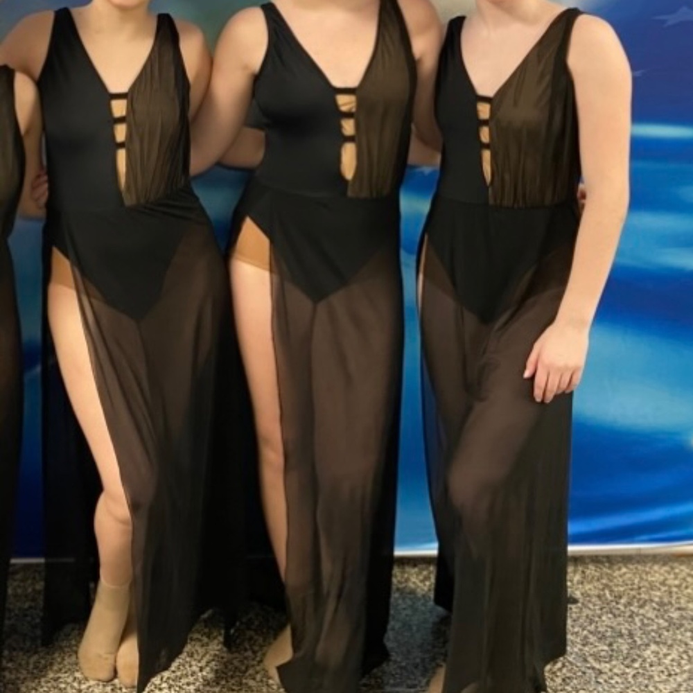 Revolution Dancewear Epiphany Black Costume – Matte Spandex  Mesh Dress,  Medium - Picture 4 of 15